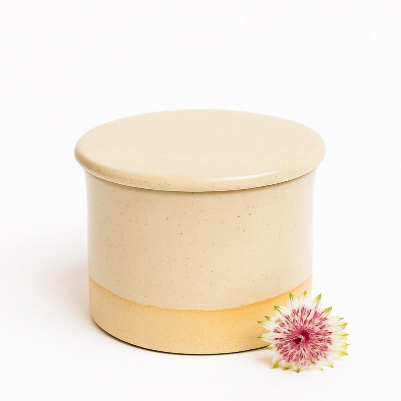 French Butter Dish image 4