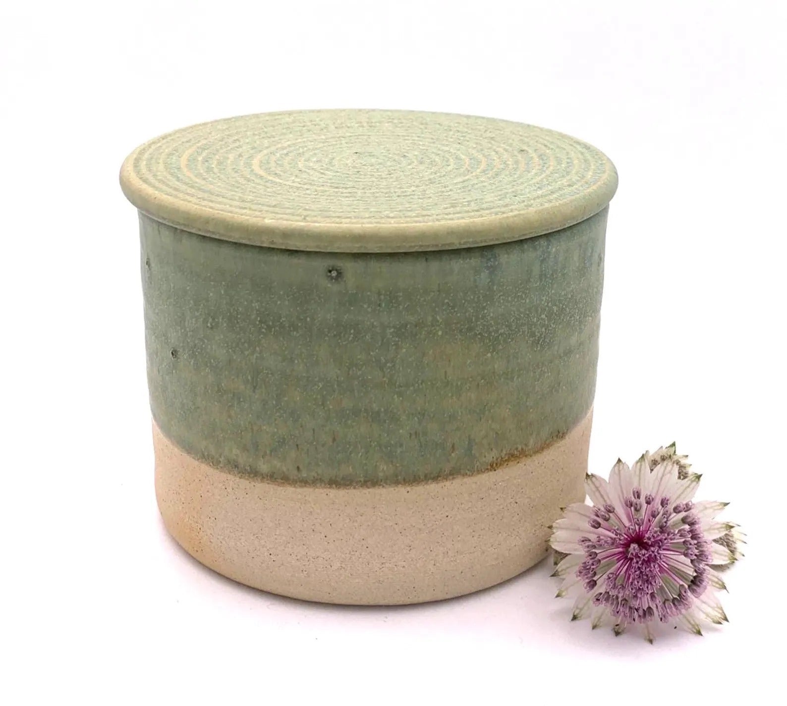 French Butter Dish image 2